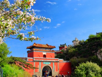 泰山海拔千米的海棠花開似海令人沉醉