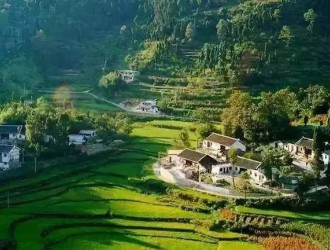 2020農(nóng)業(yè)補(bǔ)貼政策新鮮出爐！哪些人可以拿到？