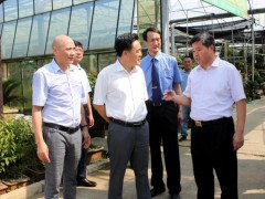 縣委書記卞建軍陪同市檢察院領導考察花木城