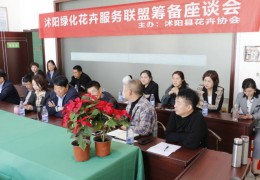 凈化經商環境，沭陽籌備成立綠化花卉服務聯盟！