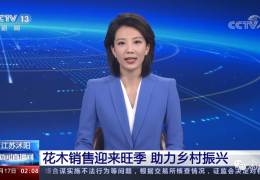 重磅！央視一天兩次為沭陽點贊，誠信標簽助力沭陽花木轉型升級