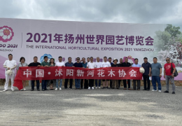 沭陽縣新河鎮花木協會