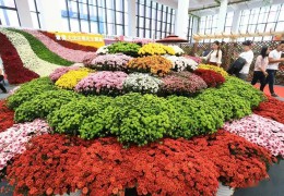 沭陽縣花木協會