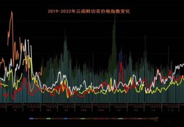 后疫情下巨變的花卉行情 | 2022全國花卉產銷形式分析會