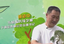 沭陽“新農人”胡道中：“矩陣直播”帶“飛”苗木產業