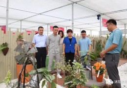 沭陽縣花木電商協會