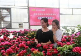 【電商產業】沭陽縣人社局：依托特色產業 助推“電商”發展