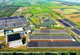 沭陽：農旅融合促進鄉村振興