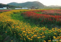 什么是休閑農業？