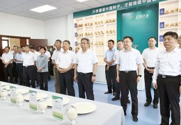 宿遷召開全市鄉村振興重點工作暨農房改善專項行動現場推進會