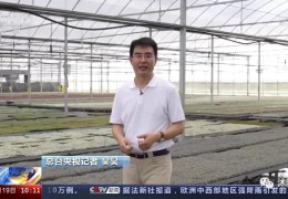 【多肉產業】央視《新聞直播間》點贊沭陽多肉產業