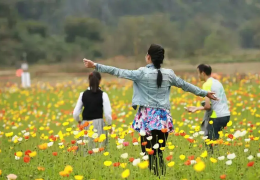 體驗經濟背景下的休閑農業發展策略