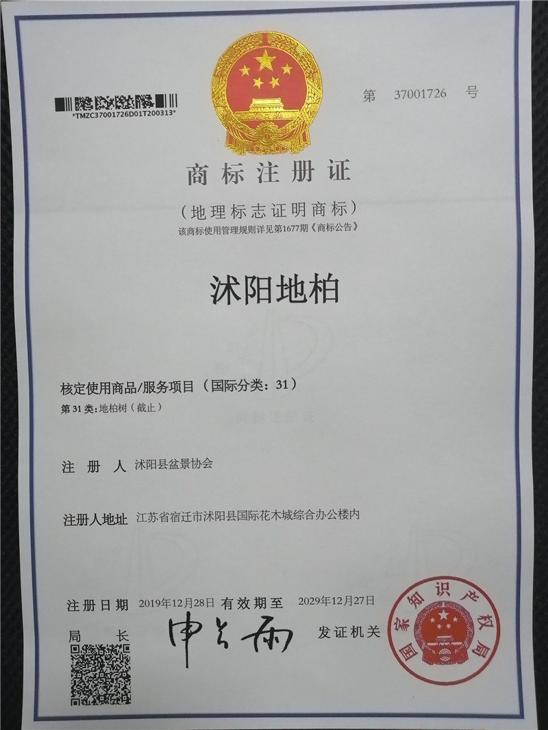 沭陽(yáng)地柏——國(guó)家地理標(biāo)志商標(biāo)