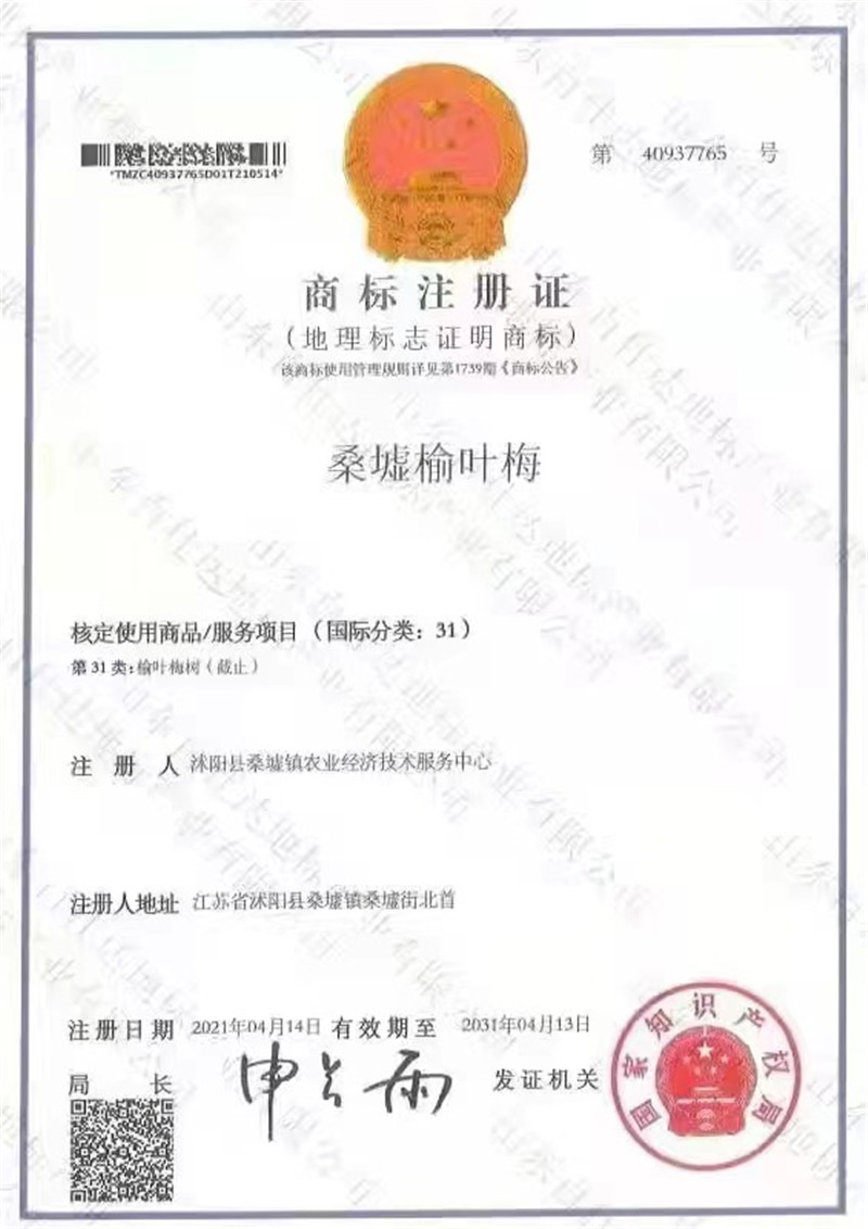 桑墟榆葉梅——國(guó)家地理標(biāo)志商標(biāo)