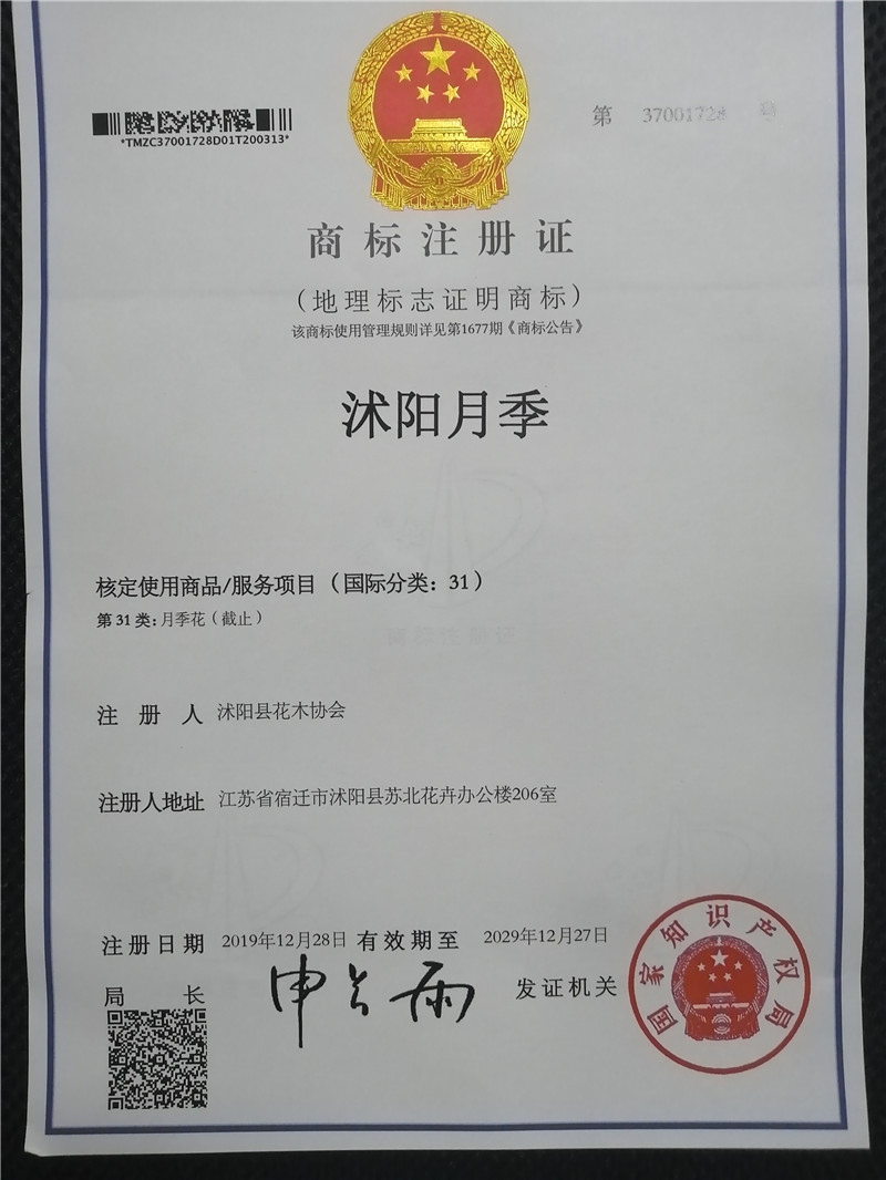 沭陽(yáng)月季——國(guó)家地理標(biāo)志商標(biāo)
