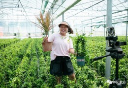 央視關注沭陽！“美麗經濟”振興鄉村！