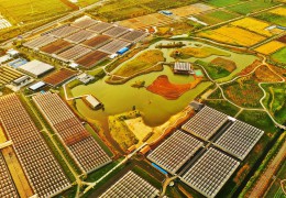 揚子晚報：沭陽縣在推進鄉村振興方面有什么樣的藍圖性規劃和發展？