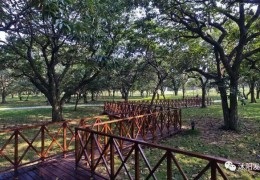 新河鎮雙蕩村入選2022年江蘇省鄉村旅游重點村名錄