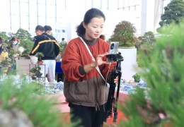 [中國江蘇網]宿遷沭陽：全鏈條式培訓破解電商創業“流量密碼”