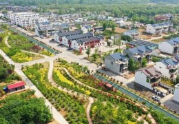 喜迎二十大?非凡十年丨沭陽：“農”墨重彩譜“興”篇