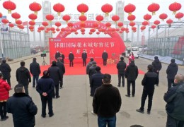 2023沭陽國際花木城“年宵花節”開幕