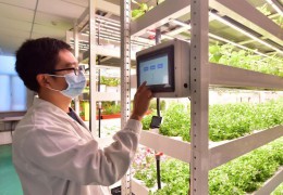 農業農村部發布全國智慧農業典型案例