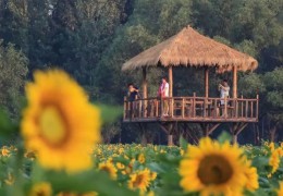 休閑農業是干什么的，包括哪些項目？