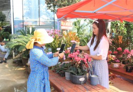 為產業增底色　為品牌添成色 ——江蘇沭陽創新開展花木電商誠信體系建設紀實