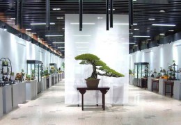 久違！開年第一展，開啟新篇章