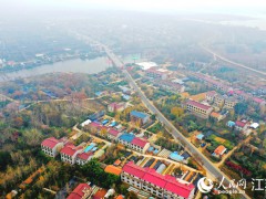 [消費日報網]江蘇沭陽：“花鄉數字治理”繪就鄉村振興多彩畫卷