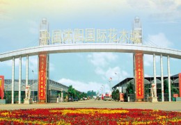 金善寶農業現代化發展研究院來沭開展專題調研