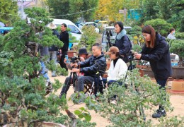 [消費日報網]江蘇沭陽新河鎮：花木特色產業 鋪就鄉村振興富民路