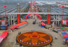 【視頻】第十屆沭陽花木節(jié)開幕（花木城會(huì)場(chǎng)）