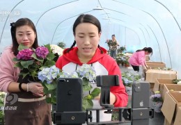 《焦點(diǎn)訪談》聚焦沭陽花木產(chǎn)業(yè)