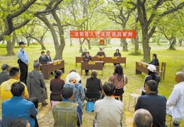 人民法院報(bào)：江蘇沭陽法庭搬進(jìn)古栗林