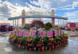 2024沭陽國際花木城盆景資材展銷會(huì)成功舉辦！